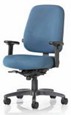 Example of a Chair offered by EH&S Ergonomic